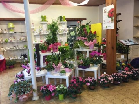 Intérieur de la boutique de fleurs Dany Fleurs à Aigurande (36)